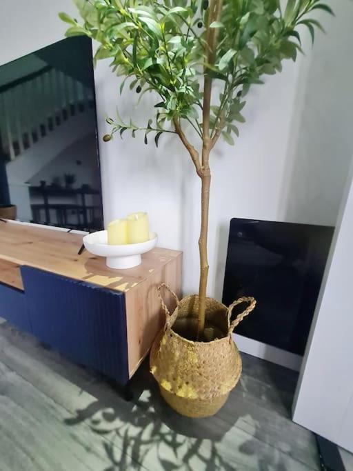 Lovely House With Back Garden - Private Driveway 格拉斯哥 外观 照片